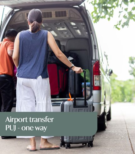 Airport transfer PUJ - one way