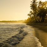 Fun in the Sun (Packages)