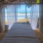 Viva Experience (Packages)