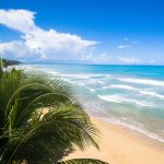 Horseback Riding on the beach