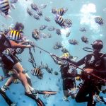 Scuba Diving with certification