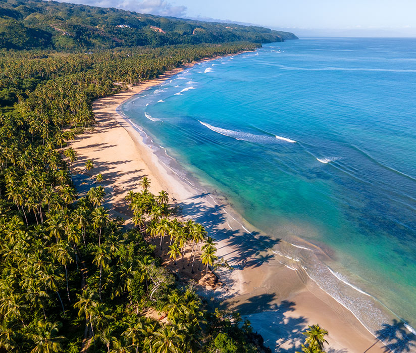 descubre-samana descubre-samana