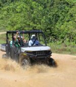 BUGGY EXCURSION - Image 2