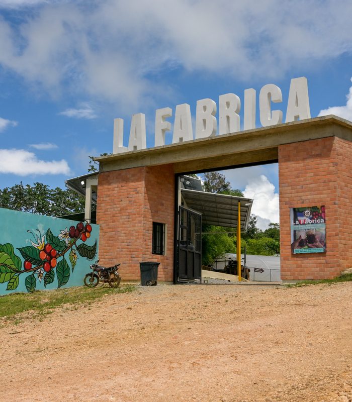 Coffee Factory_700x800_web COFFEE & COUNTRYSIDE TOUR – LAS TERRENAS - Image 1