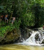 JUNGLE ADVENTURE - Image 2